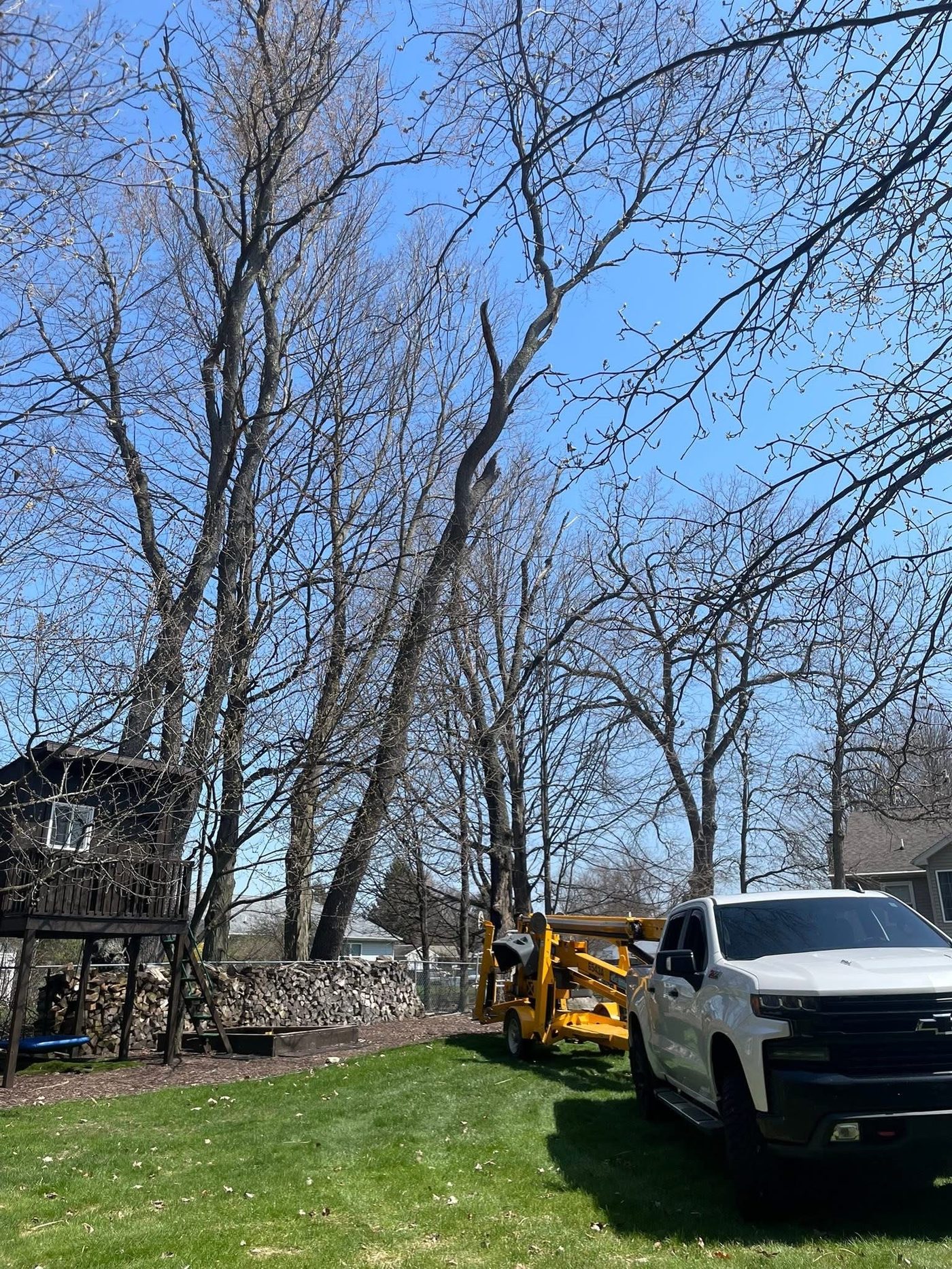 Bucket lift equipment staged in a backyard for tree removal work